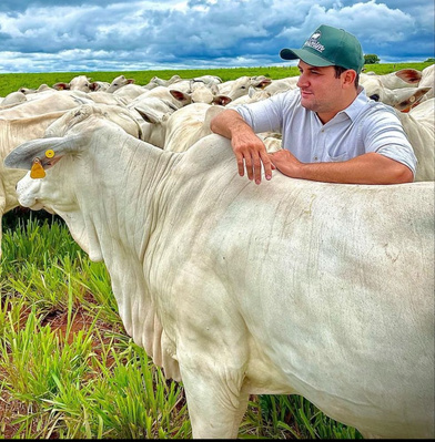 Guilherme Arantes
